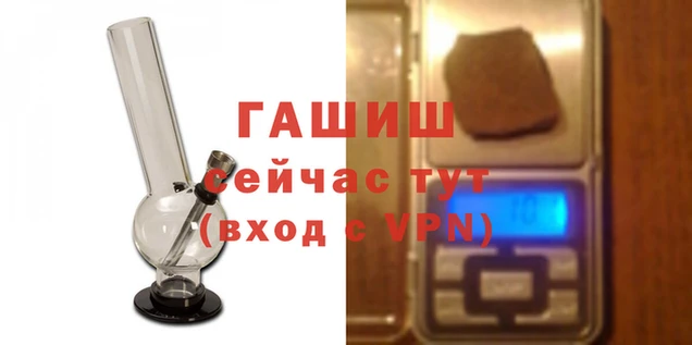 PSILOCYBIN Богданович
