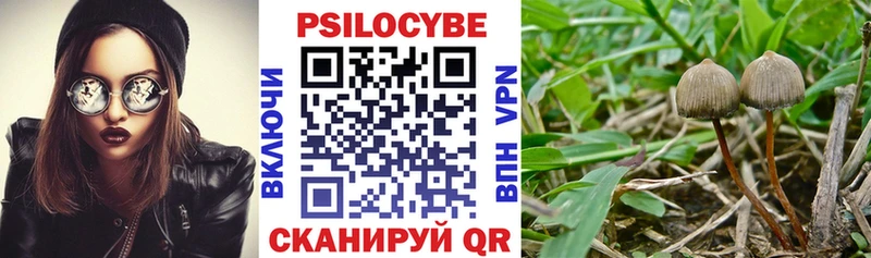 купить наркотик  Весьегонск  Галлюциногенные грибы MAGIC MUSHROOMS 